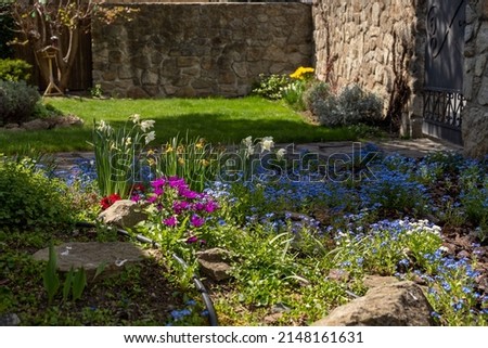 first spring flowers in the garden, colourful look into the garden on the countryside