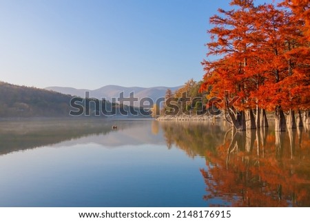 Beautiful amazing landscape in lake Sukko. Travel nature panorama. Inspiring red cypress trees in sunrise autumn water. Russia Caucasus sights.  Royalty-Free Stock Photo #2148176915