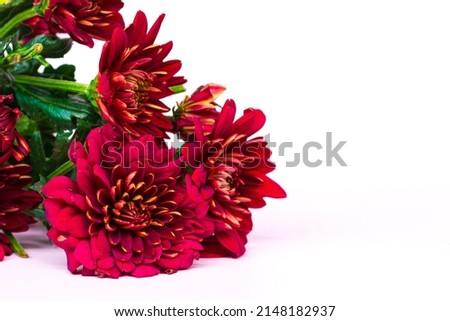 Design concept of Mother's day holiday greeting design with flower bouquet on white background. Copy space.