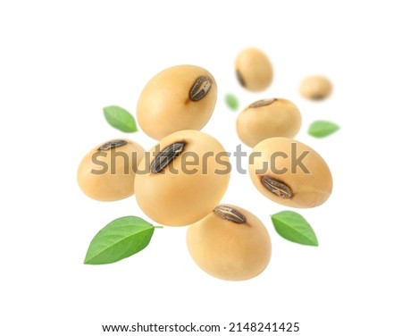 Soybeans with leaves levitate isolated on a white background. Royalty-Free Stock Photo #2148241425