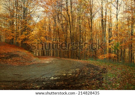 Vintage photo of curving road in autumn forest