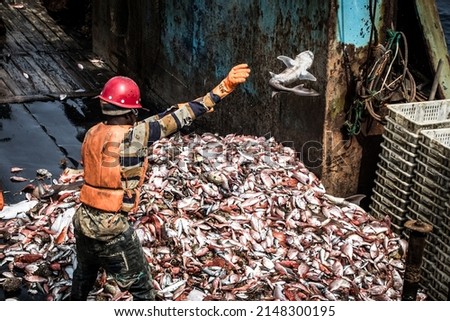 a fisherman throws away a shark as bycatch from a fishing trawler Royalty-Free Stock Photo #2148300195