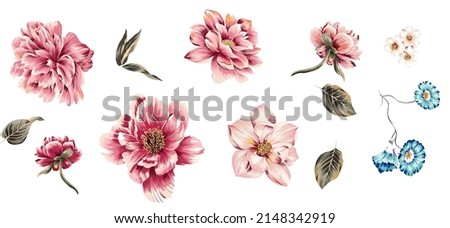 Flowers and leaves colorful set of isolated elements illustration. Peony, magnolia, poppy floral elements with vintage exotic leafs leaves.White color background. Suitable for texture.