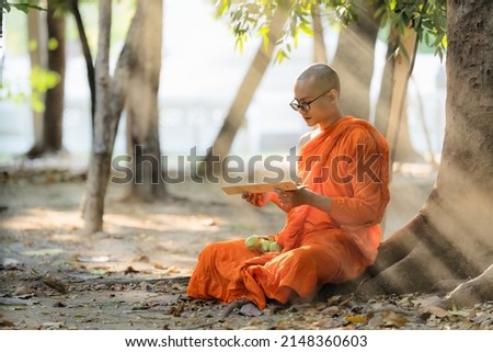 Thai or Myanmar or Cambodia Buddhist monk sitting under tree in buddhism school monastery reading and studying Buddhist lessen book Royalty-Free Stock Photo #2148360603