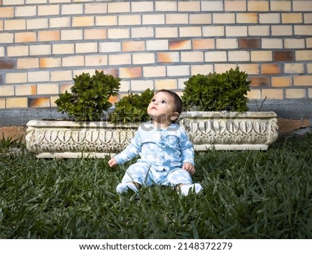 Baby boy wearing a blue and white outfit sitting on a lawn with a brick wall in the background looking towards the light with a reaction of curiosity. Mention of babies and expressions, first lessons.