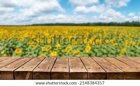 Empty old wooden table with sunflowers field in background