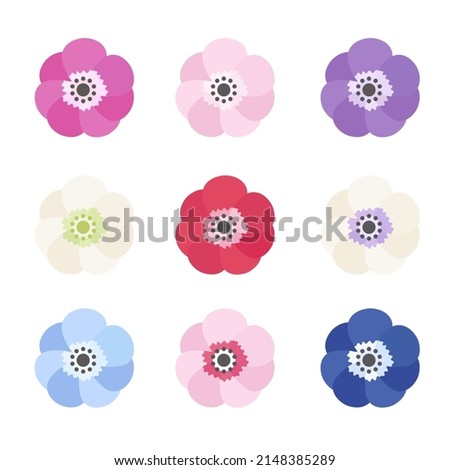 Variation set of anemone illustrations