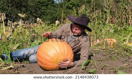 Big harvest of pumpkins. Happy rural farmer is photographed near pumpkins.