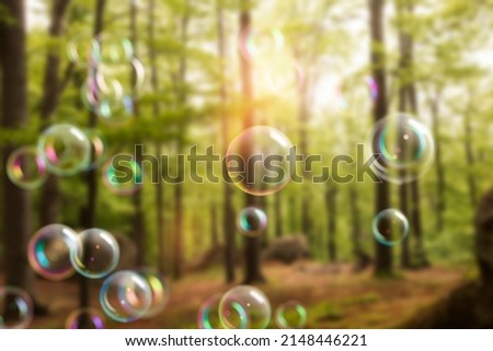 The bubble of soap top view of landscape nature