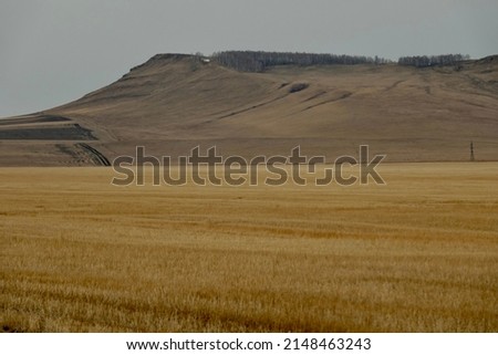 The mountain in Khakassia, Russia.  Royalty-Free Stock Photo #2148463243