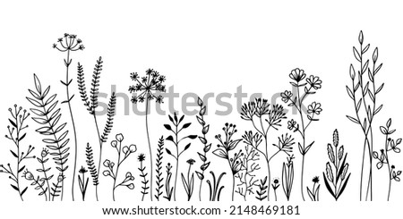 Set of wild meadow herbs and flowers. Hand drawn black vector illustration. Isolated elements for design. Royalty-Free Stock Photo #2148469181