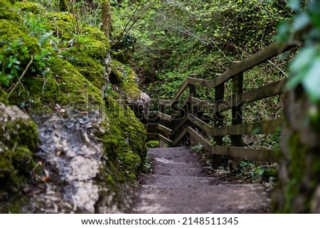 Stairway next to river edge with green trees and moss covered rocks