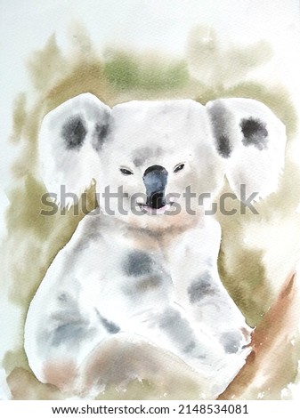 Koala animal on branch with green background watercolor illustration