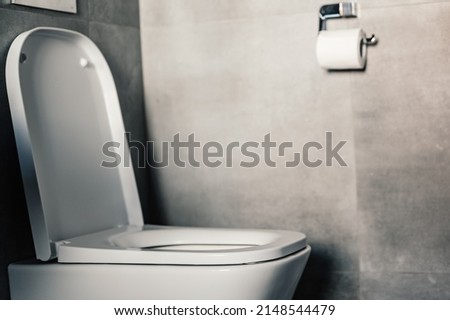 White toilet bowl in the bathroom. Modern clean hause. Hygiene concept.