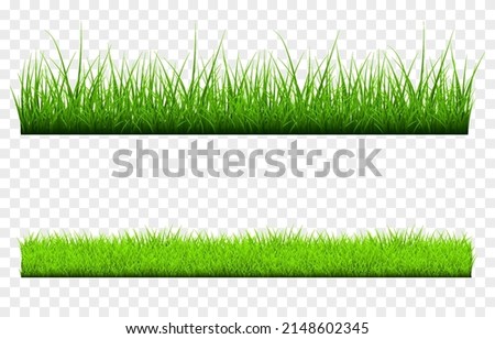 Vector young grass png. Lawn, grass on an isolated transparent background. Background with grass.