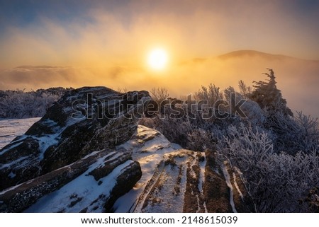 Fresh snow cover and sunset through fog, Roan Mountain State Park Royalty-Free Stock Photo #2148615039