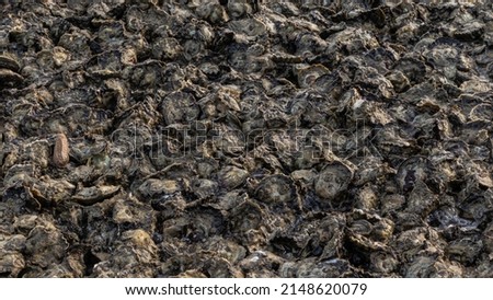 Small sea stones, gravel. Background. Textures
