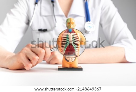 Doctor magnifies with loupe lungs in 3d human model. Anatomy, medical education, respiratory system concept. Woman with stethoscope in lab coat sitting at table. High quality photo Royalty-Free Stock Photo #2148649367