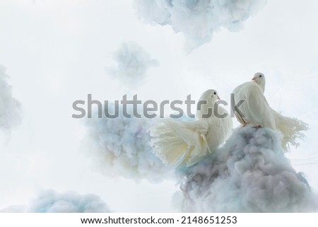 a white dove and a pigeon sit on a cloud against the background of artificial sky and clouds. creative art composition