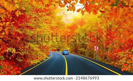 colorful forest ride by car. autumn colors and autumn landscape in october. Autumn view in Europe. Car driving on road. panoramic road view. highway landscape in autumn. Colorful highway view.
