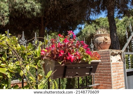 The front porch of a house. A brick wall with a metal door. Pots with flowers and plants. Exterior decoration concept.