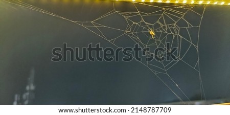 A picture of a city lights travelling alone in night with a bike. Beautiful blur lights in the background. One picture of the spider resting in the web underlights. And one of the picture of  a cave.