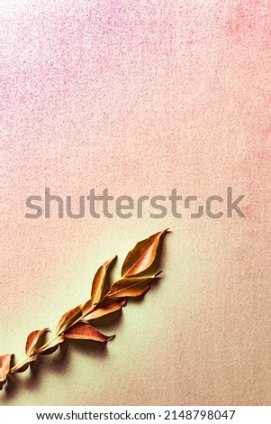 Grainy colorful abstract art using kadi leaf and background for vintage trendy theme.