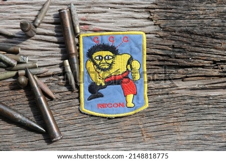 HULK 5th Special Forces Group RECON TEAM Shoulder Patch US Army CCC, Military Patch US Army Military Ammunition bulet on wood background - Image