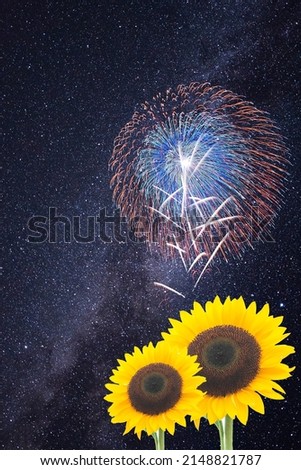 Fireworks, sunflowers and shooting stars flowing through the starry sky.
Summer night concept.
