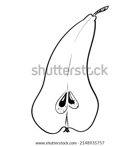 Pears hand drawn outline. The black line art on a white background. Vector element isolated.