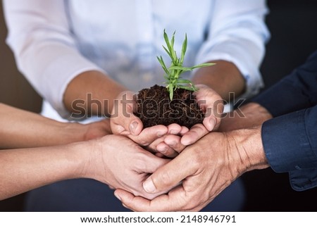Take good care of your business and it will flourish. Shhot of a group of businesspeoples hands holding a young plant in soil. Royalty-Free Stock Photo #2148946791