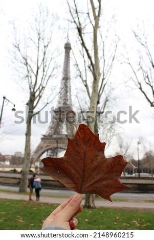 Autumn leaf in the Eiffel Tower