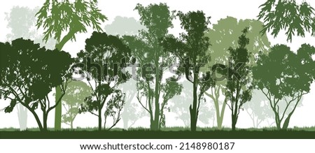 a green forest of Australian gum tress with white background
