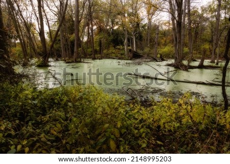 Point Pelee National Park Canada Ontario swampland
