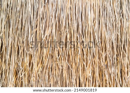A picture of dry grass that has been woven into a wall in the countryside.