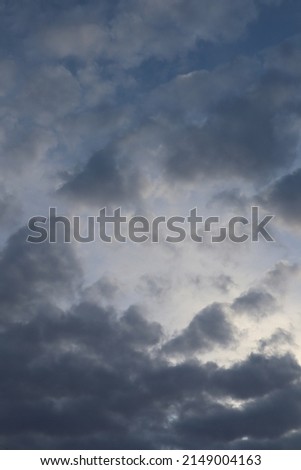 Blue sky bright no people habitat landscapes wing tree wildlife clouds sky cloud tree heaven atmosphere environment weather birds space cloudscape serenity bird black with trees and clouds heaven air 