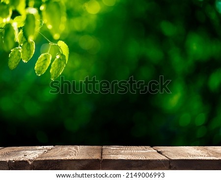 Product display- rustic wooden table in front of plantation of green ripe hop cones in the sunlight. Brewery and Oktoberfest concept background with copy space.