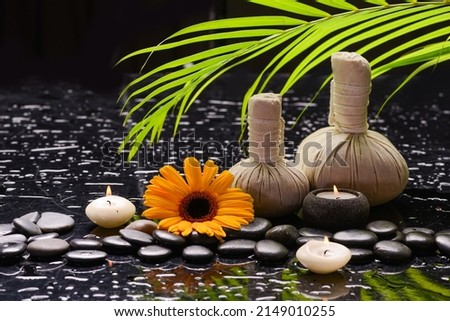 Still life of with 
Yellow sunflower ,candle flower ,spa ball and zen black stones ,green palm wet background
