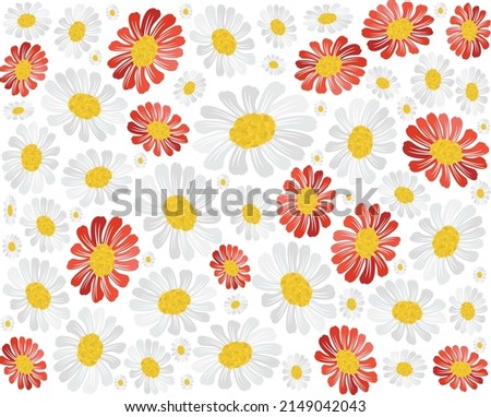 Symbol of Love, Background of Red and White Daisy or Gerbera Flowers in A Green Garden for Home and Building Decoration.
