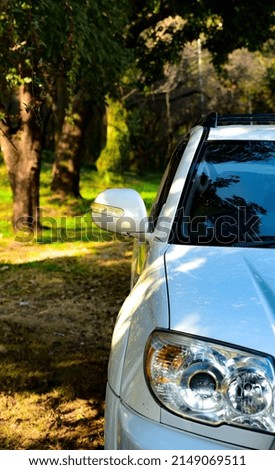 Picture of a car standing near park. White beautifull car
