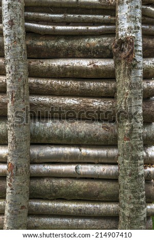 A pile of wooden logs - background
