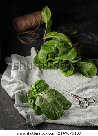 Fresh spinach on a dark background. Vertical photo photo. Copy space.