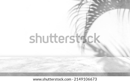 Shadow leaves on white wall Background and Marble Floor Perspective for advertising Display Products and text presentation on free space backdrop 
