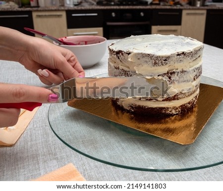 Applying the cream with kitchen spatula on the cake. Selective focus. Picture for articles about food, cooking, confectioners.