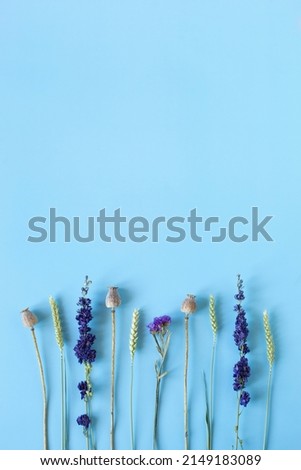 Wildflowers over the light blue background, top view, copy space