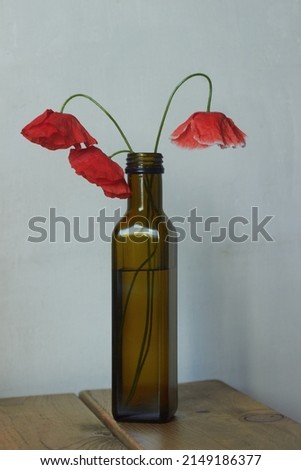 Three red poppies in a glass vase on a wooden table on a gray background