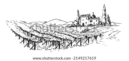 Vineyard with Grape Field. Background for Wine label design. Vector Tuscany Landscape with house and wineyard in vintage style Royalty-Free Stock Photo #2149217619