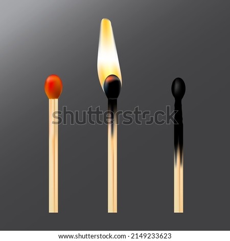 3d whole burnt match. Transparent background. Vector illustration. stock image.