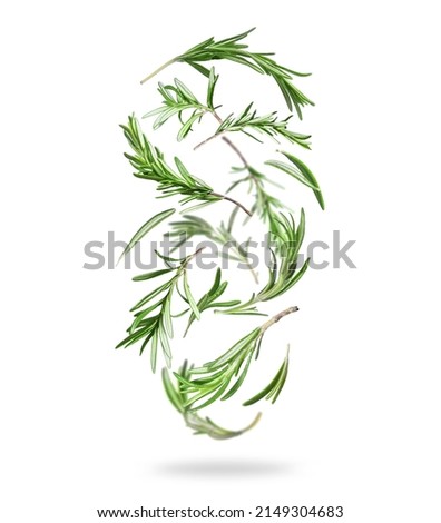 Fresh rosemary stalks in the air isolated on a white background