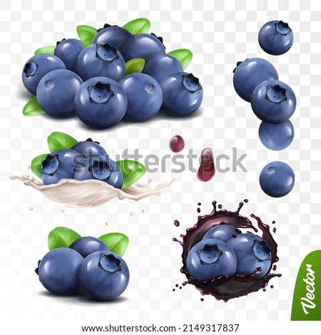 3D realistic blueberry set, lying heaps of berries with leaves, falling bilberries, splash of milk or yogurt, splash of juice with berries Royalty-Free Stock Photo #2149317837